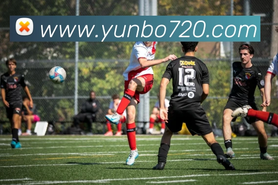 App Interface Preview